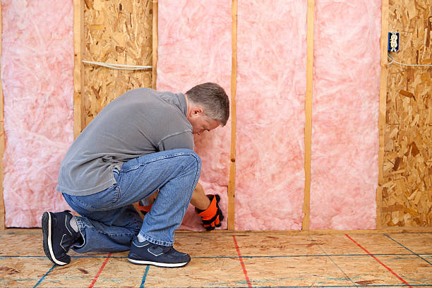 Best DIY Insulation Kits and Guidance in Saint John Fisher College, NY